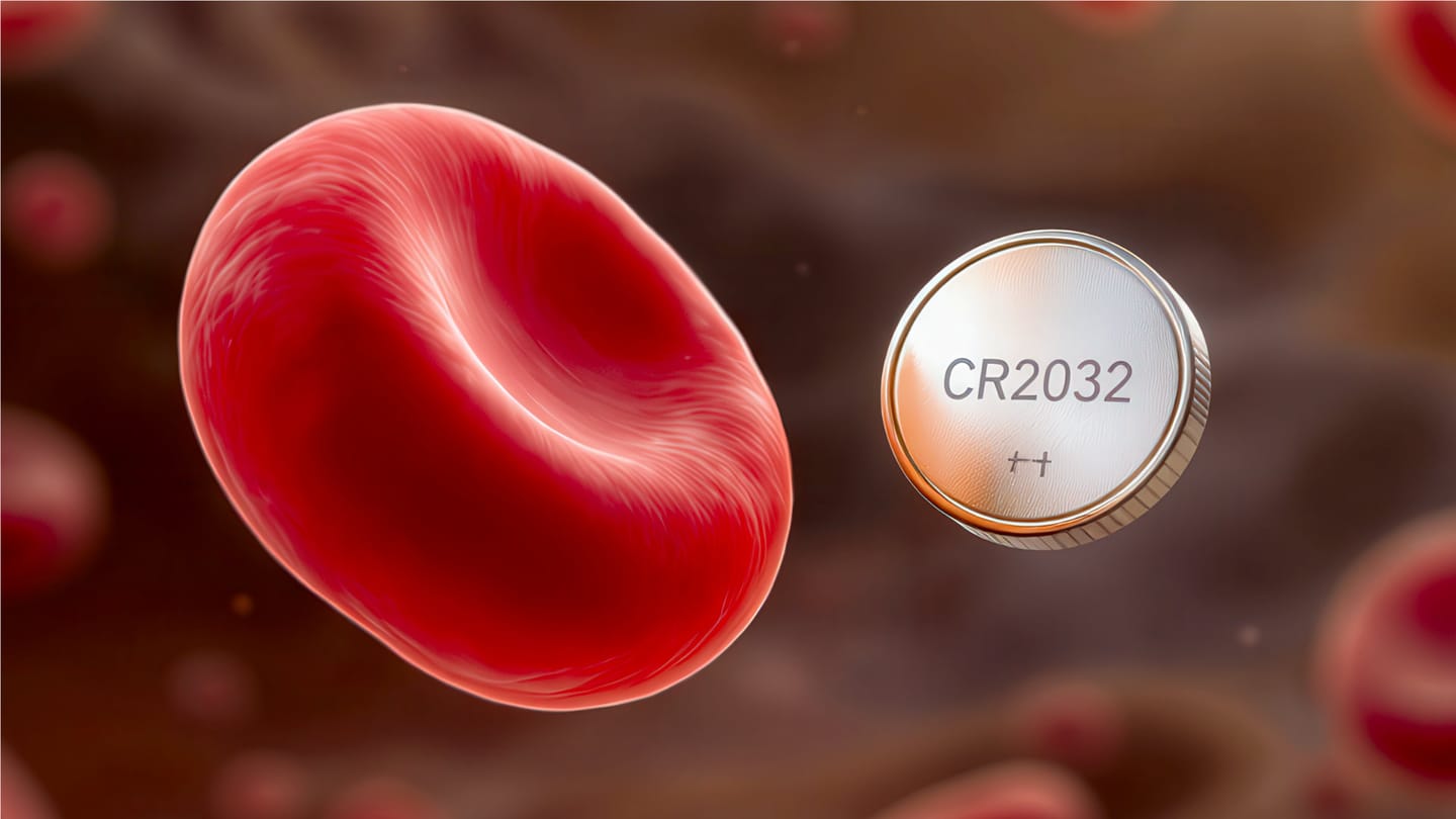 How Blood Holds the Secret to Better, Cheaper Batteries
