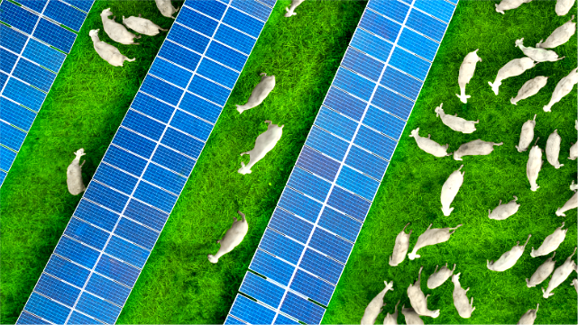 Can Solar Rooftops Power the World?