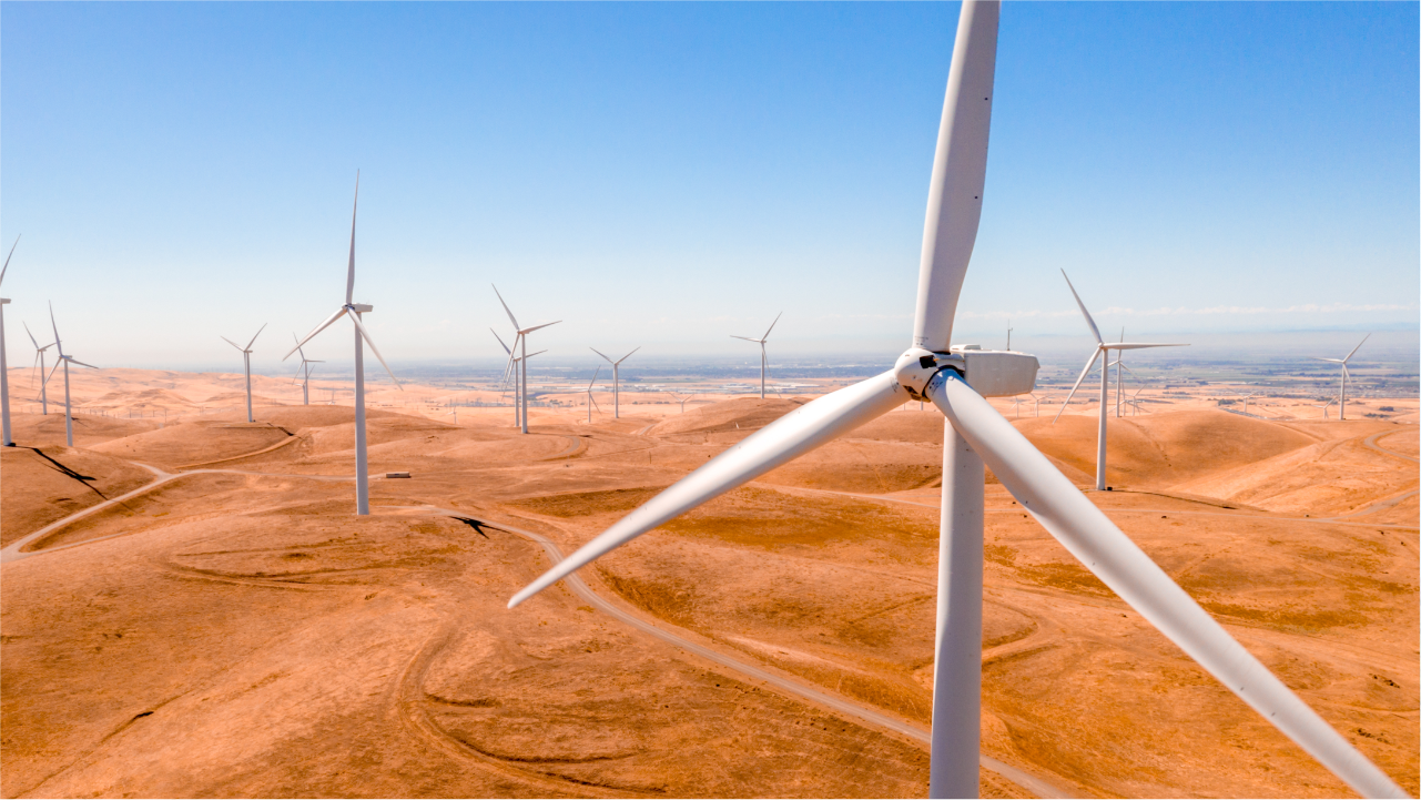 The World’s Largest Wind Farm has a Tiny Problem