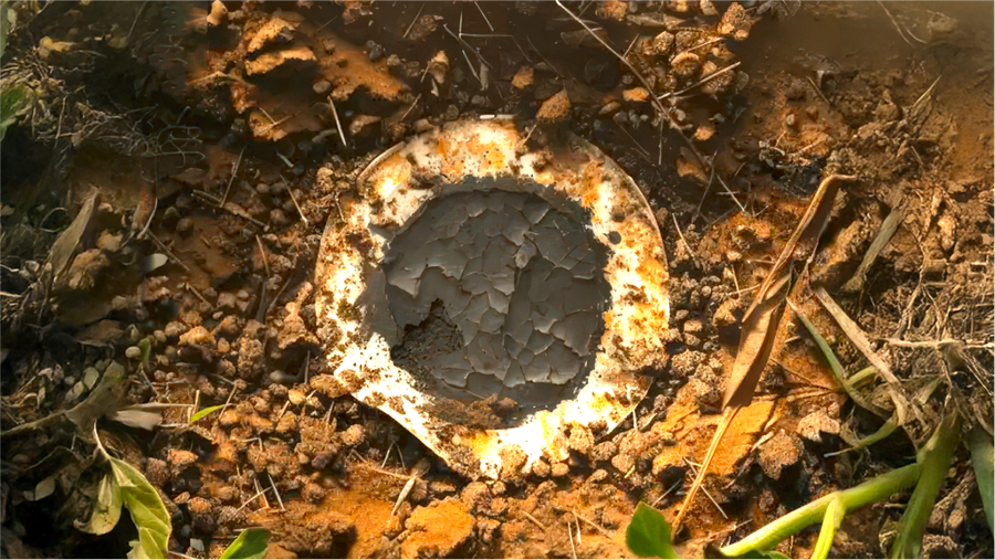 How This Battery Runs on Sugar… Seriously